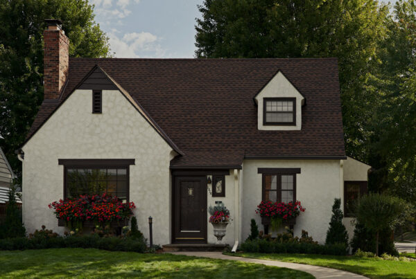 Tiny Tudor
